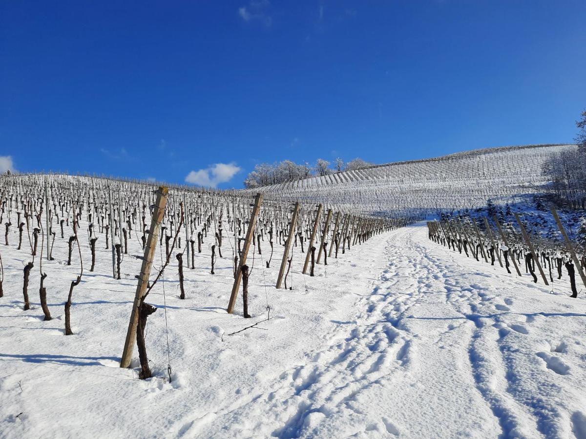 Ferienwohnung Am Weinberg Oberkirch Kültér fotó