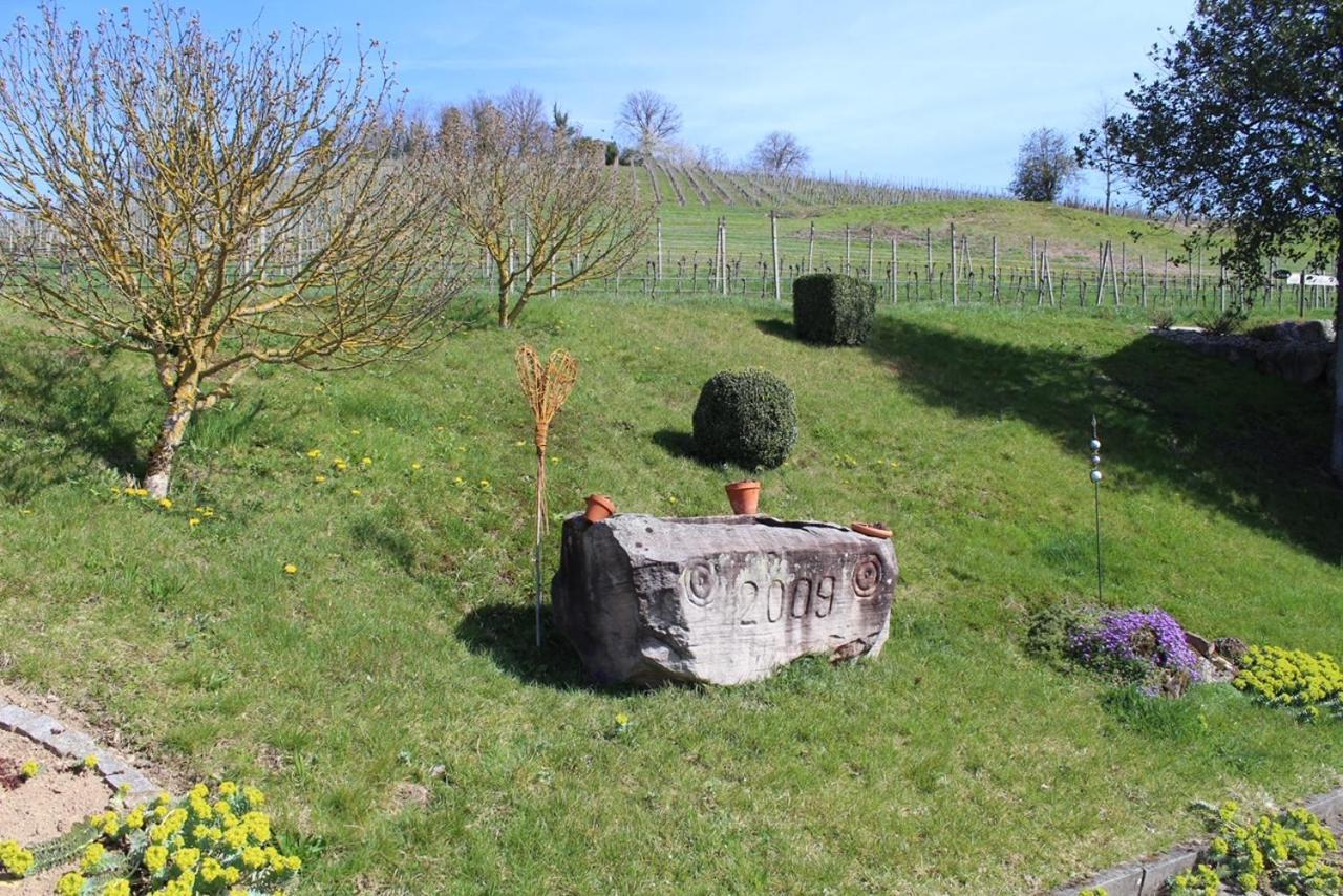 Ferienwohnung Am Weinberg Oberkirch Kültér fotó