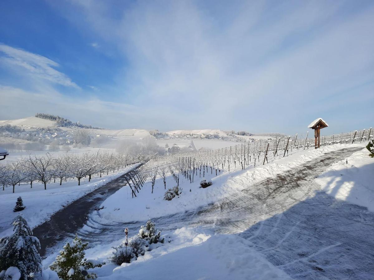 Ferienwohnung Am Weinberg Oberkirch Kültér fotó