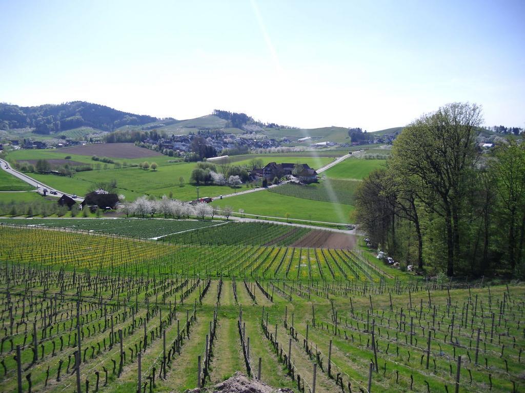 Ferienwohnung Am Weinberg Oberkirch Kültér fotó